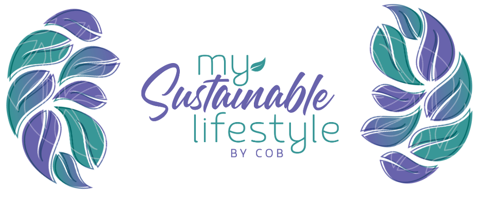 Workshop Design your own Sustainable Lifestyle